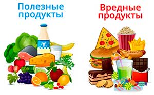 Конспект НОД «Овощи и фрукты полезные продукты»