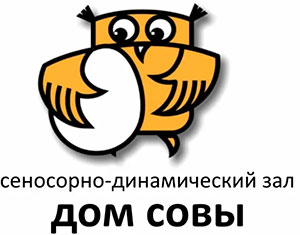 Взаимодействие учителя – дефектолога и инструктора по физической культуре в процессе коррекционно – развивающей деятельности в детском саду в сенсорно – динамическом зале «Дом совы»
