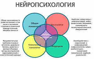 ИСПОЛЬЗОВАНИЕ НЕЙРОПСИХОЛОГИЧЕСКИХ ИГР И УПРАЖНЕНИЙ В ИНДИВИДУАЛЬНОЙ РАБОТЕ ДЕФЕКТОЛОГА С ДОШКОЛЬНИКАМИ С ЗАДЕРЖКОЙ ПСИХИЧЕСКОГО РАЗВИТИЯ
